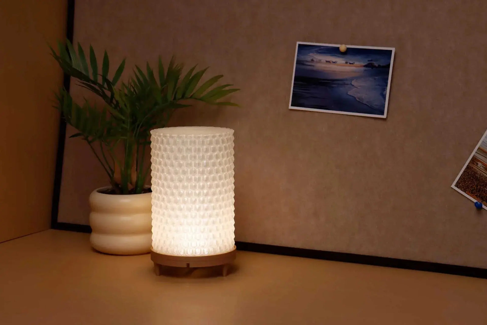 A printed transparent lampshade